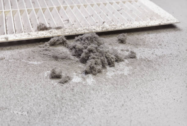 Best Home Air Vent Cleaning  in San Elizario, TX