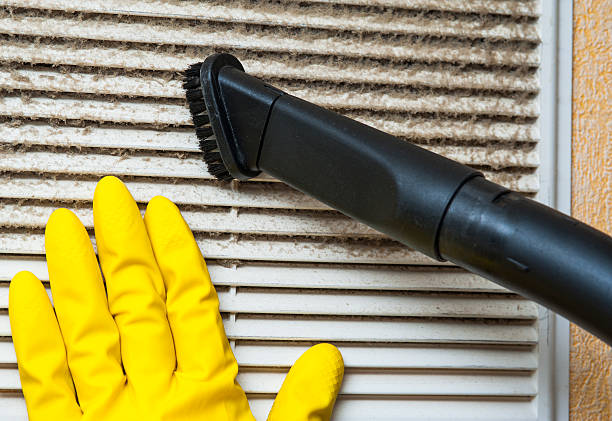 Best Dryer Vent Cleaning Services  in San Elizario, TX
